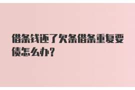 最近好多湖北催收电话
